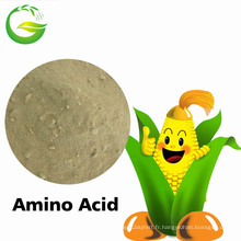 Qfg AA 80 Amino Acid 80%